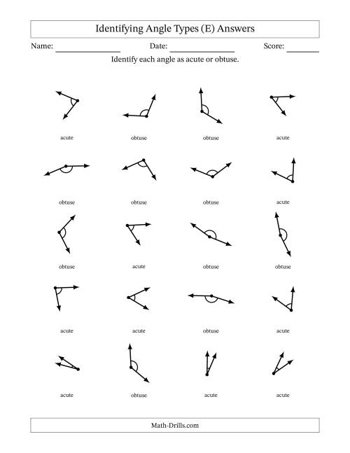 The Identifying Acute And Obtuse Angles With Angle Marks (E) Math Worksheet Page 2