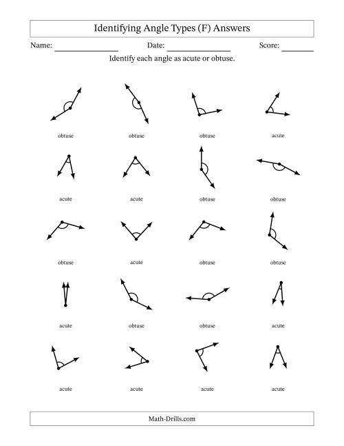 The Identifying Acute And Obtuse Angles With Angle Marks (F) Math Worksheet Page 2