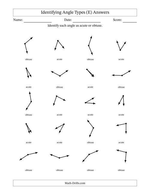 The Identifying Acute And Obtuse Angles Without Angle Marks (E) Math Worksheet Page 2