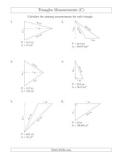 Calculating the Base and Height of Triangles (C) Measurement Worksheet