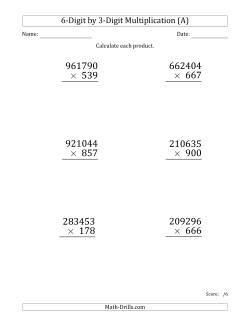 Multiplying 6-Digit by 3-Digit Numbers (Large Print)